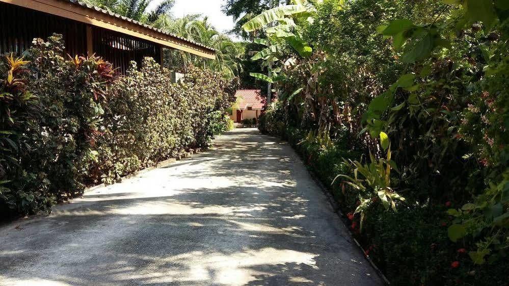 Subtawee Resort Surat Thani Exterior foto